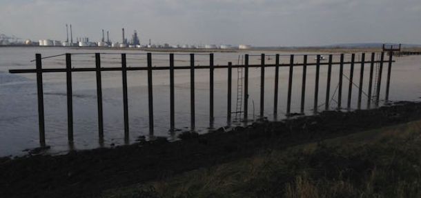 Estuary 2 cropped website