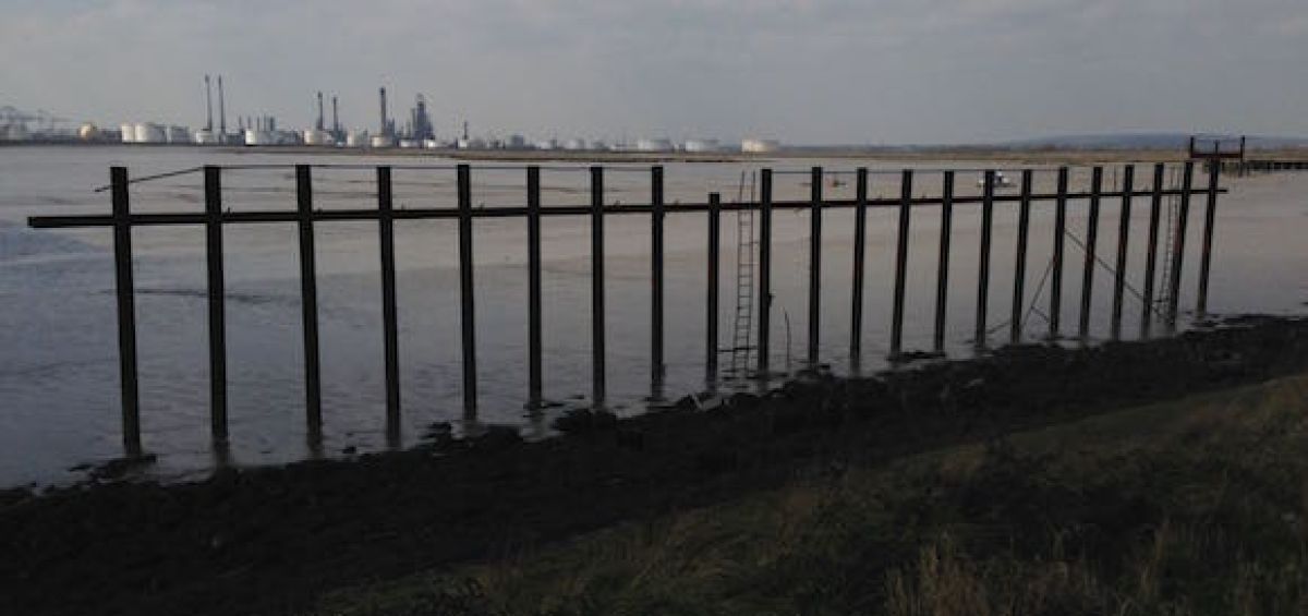 Estuary 2 cropped website